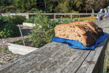 Two slices of wheat bread sitting on a blue cloth on top of a fence.