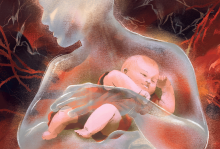 The illustration shows a semi-transparent person holding a newborn infant on a red, tendril-esque background. 