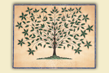 Shaker gift drawing of the tree of light.