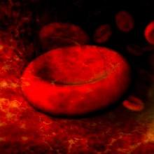 Red blood cells. Image via Wylio, http://bit.ly/ysvxWb. Red blood cells. Image via Wylio, http://bit.ly/ysvxWb.