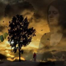 "Tree of Prayer" image via Wylio http://www.wylio.com/credits/Flickr/4404284129 "Tree of Prayer" image via Wylio http://www.wylio.com/credits/Flickr/4404284129