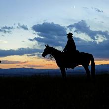outdoorsman / Shutterstock outdoorsman / Shutterstock