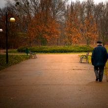 PHOTOCREO Michal Bednarek / Shutterstock PHOTOCREO Michal Bednarek / Shutterstock
