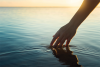 Photograph of a hand dipping into the ocean at sunrise.